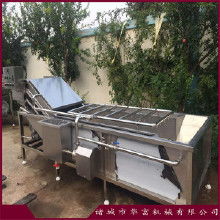杏鲍菇加工价格 杏鲍菇加工批发 杏鲍菇加工厂家 