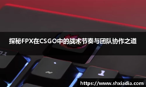 探秘FPX在CSGO中的战术节奏与团队协作之道
