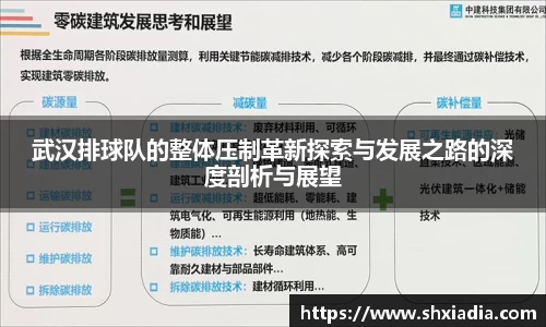 武汉排球队的整体压制革新探索与发展之路的深度剖析与展望