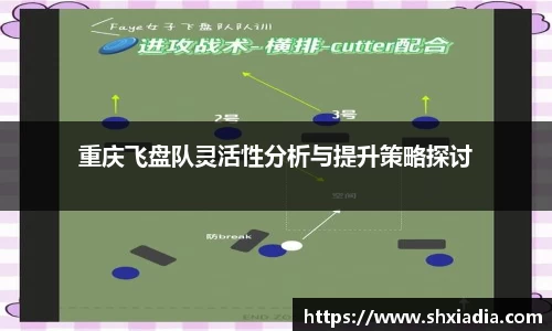 重庆飞盘队灵活性分析与提升策略探讨