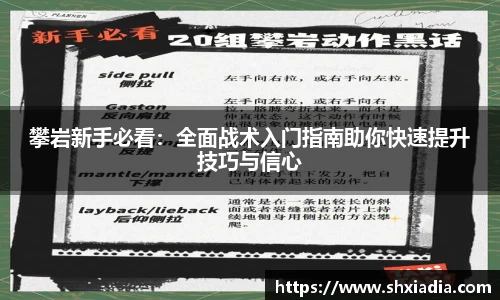 攀岩新手必看：全面战术入门指南助你快速提升技巧与信心