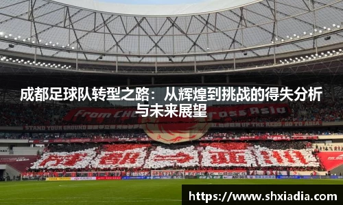成都足球队转型之路：从辉煌到挑战的得失分析与未来展望
