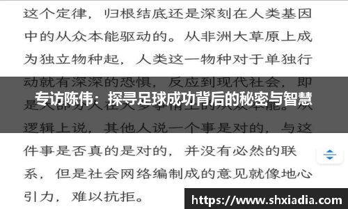 专访陈伟：探寻足球成功背后的秘密与智慧