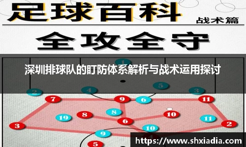 深圳排球队的盯防体系解析与战术运用探讨